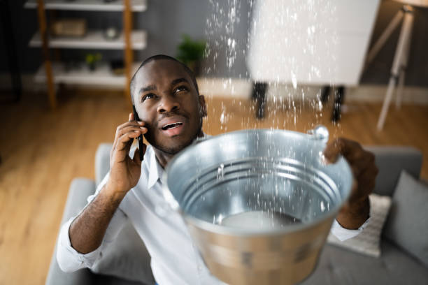 Best Basement water damage restoration  in Salina, UT