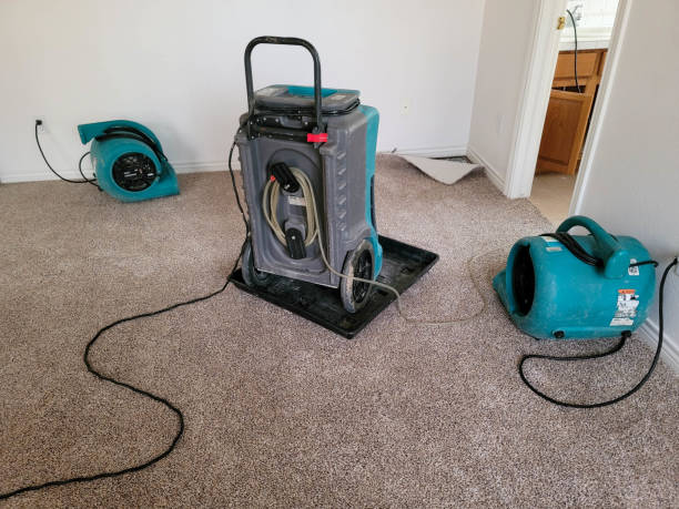 Best Carpet water damage restoration  in Salina, UT