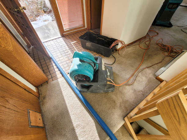 Local water damage restoration in Salina, UT