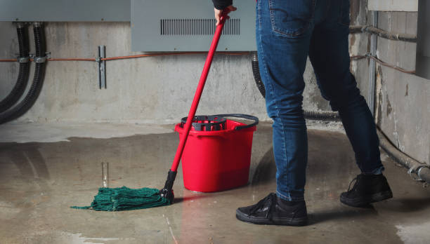 Best Water damage restoration near me  in Salina, UT