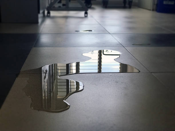 Best Water damage cleanup near me  in Salina, UT