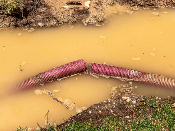 Best Flood damage cleanup  in Salina, UT