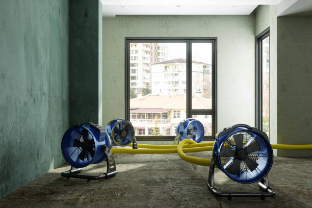 Water damage restoration experts in Salina, UT